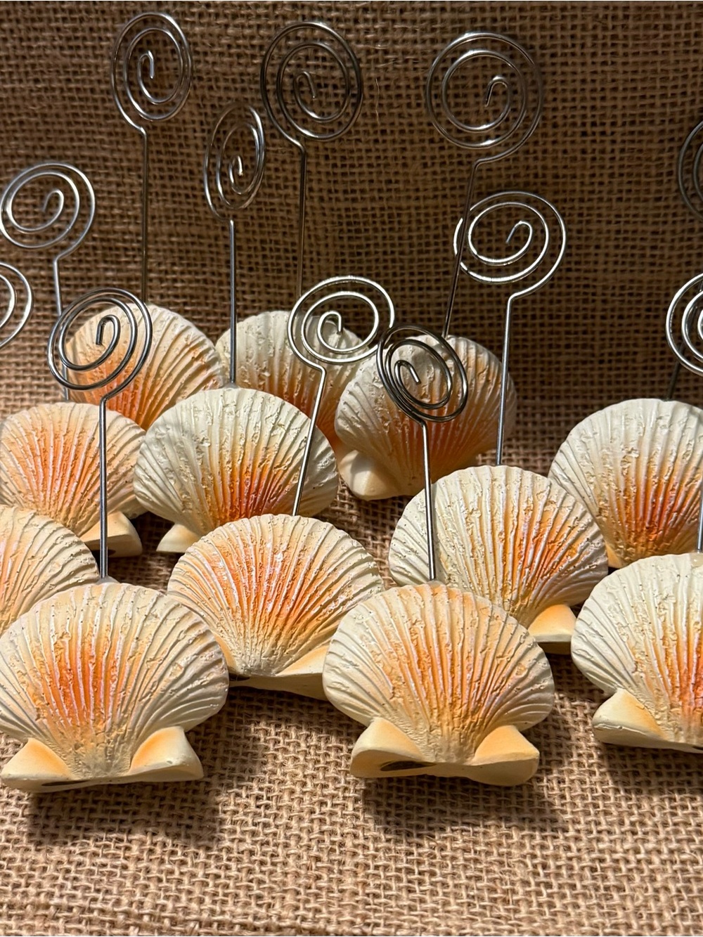 Seashell Place Card /table # Holders
